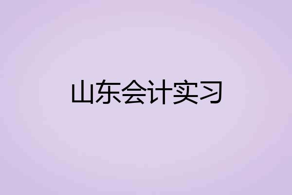 山东会计实习