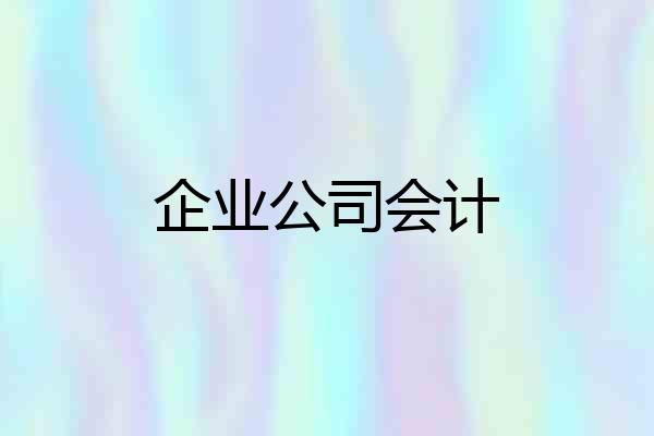 企业公司会计