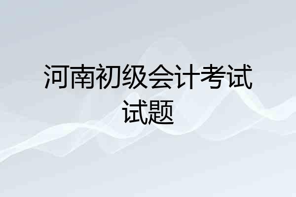 河南初级会计考试试题