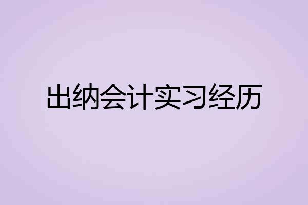 出纳会计实习经历