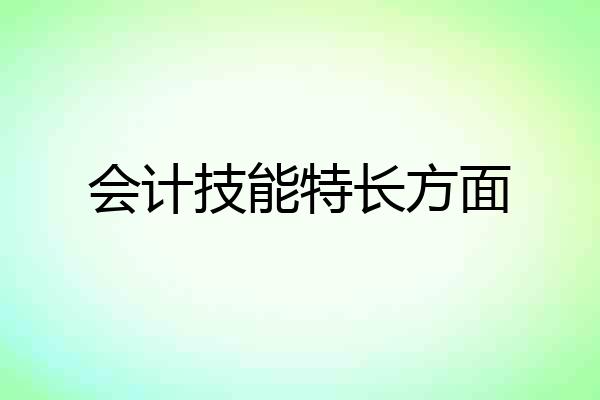 会计技能特长方面