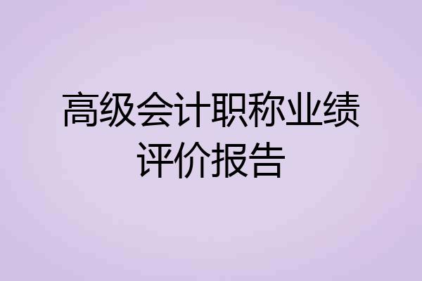 高级会计职称业绩评价报告