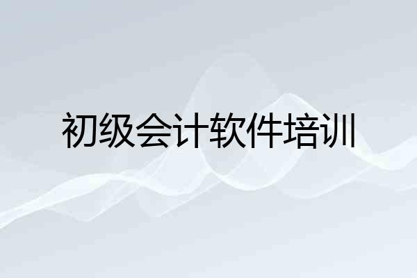 初级会计软件培训
