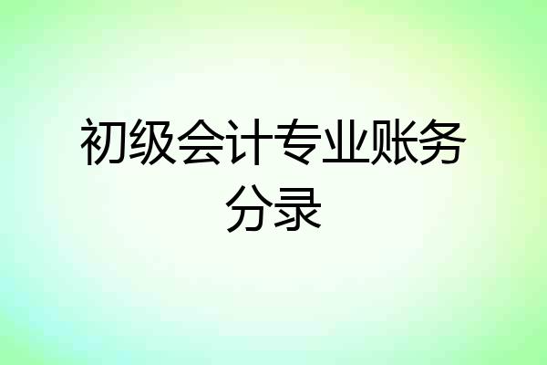 初级会计专业账务分录