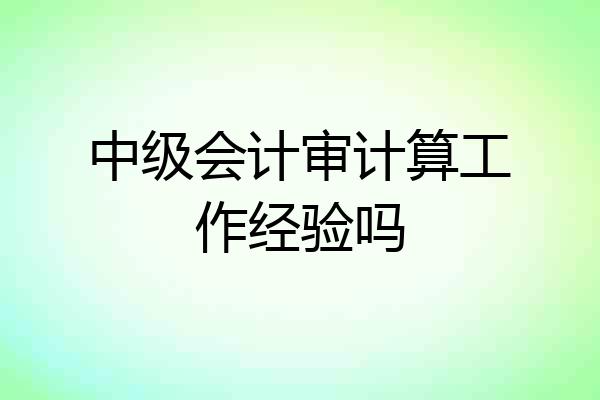 中级会计审计算工作经验吗