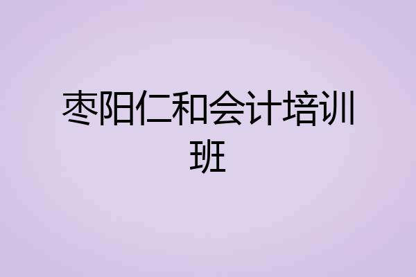 枣阳仁和会计培训班
