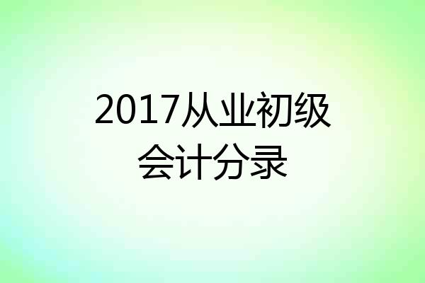 2017从业初级会计分录