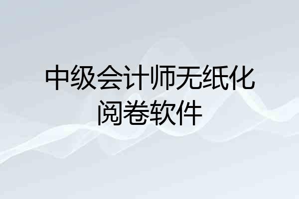 中级会计师无纸化阅卷软件