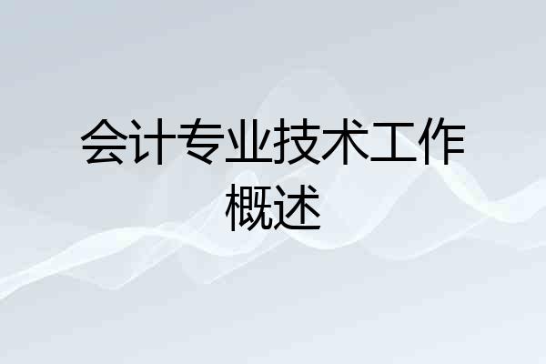 会计专业技术工作概述