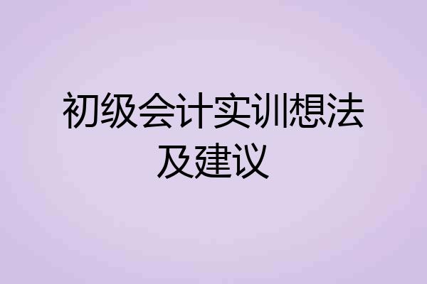 初级会计实训想法及建议