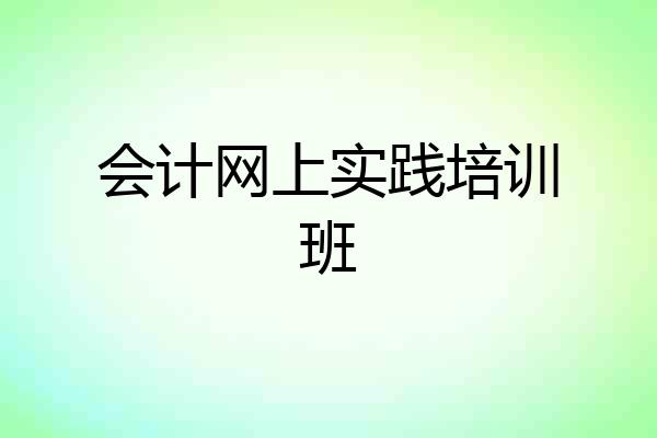 会计网上实践培训班