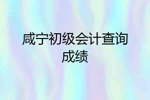 咸宁初级会计查询成绩