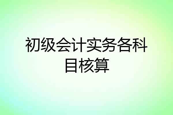 初级会计实务各科目核算