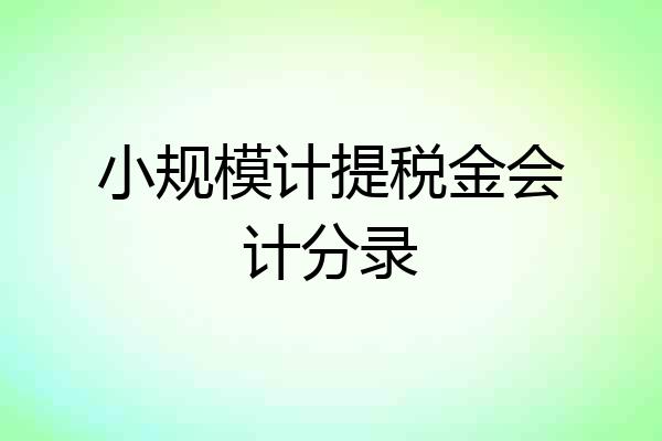 小规模计提税金会计分录