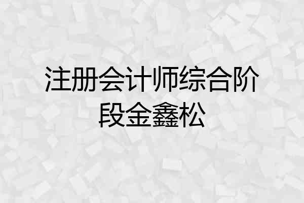 注册会计师综合阶段金鑫松