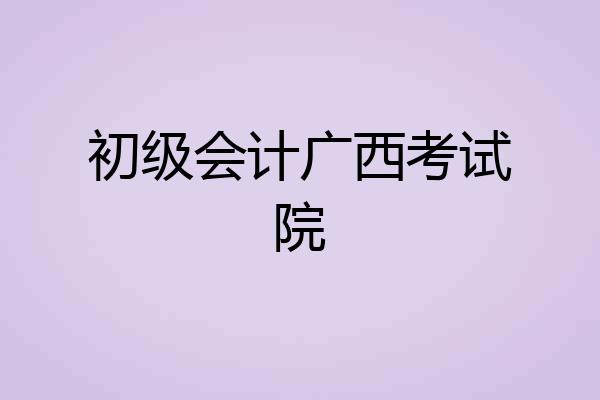 初级会计广西考试院