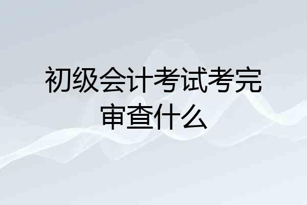 初级会计考试考完审查什么
