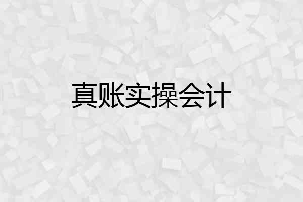 真账实操会计