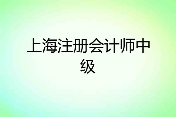 上海注册会计师中级