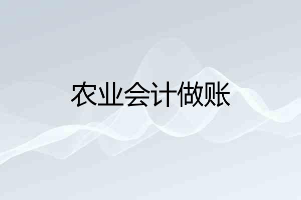 农业会计做账