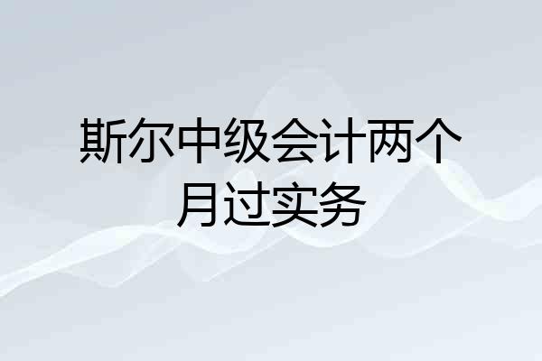 斯尔中级会计两个月过实务