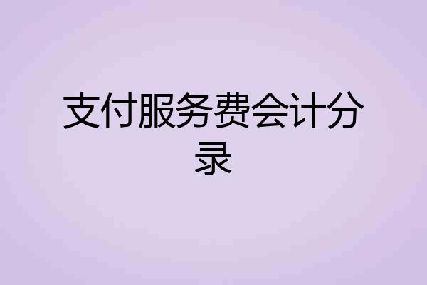 支付服务费会计分录