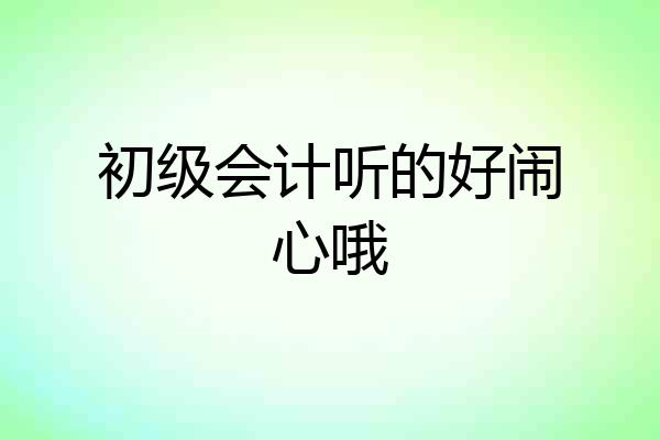初级会计听的好闹心哦