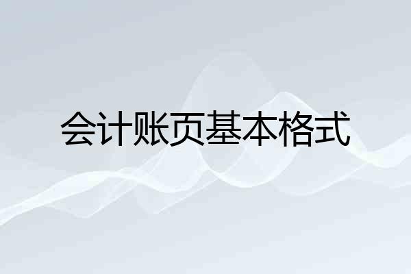 会计账页基本格式
