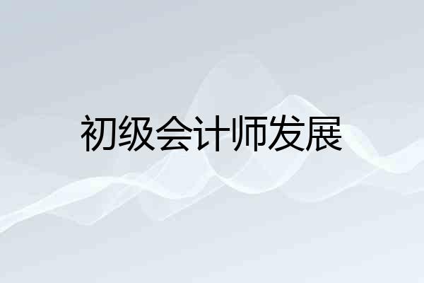 初级会计师发展