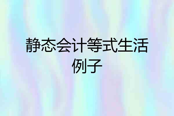 静态会计等式生活例子