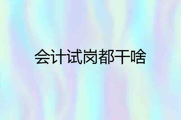 会计试岗都干啥