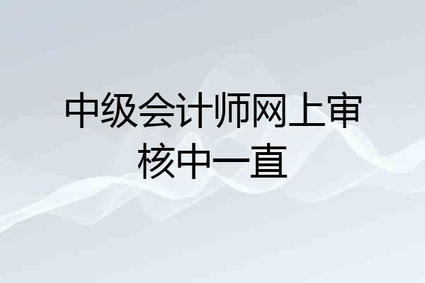 中级会计师网上审核中一直