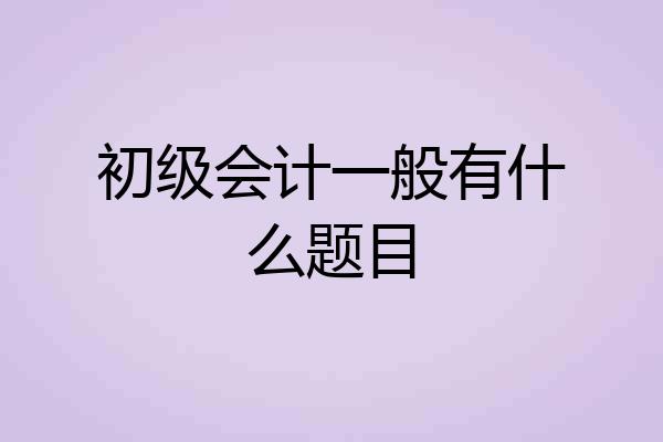 初级会计一般有什么题目