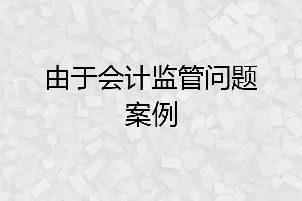 由于会计监管问题案例