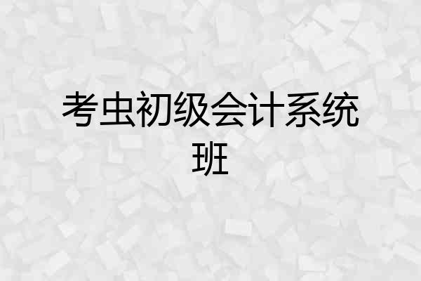 考虫初级会计系统班
