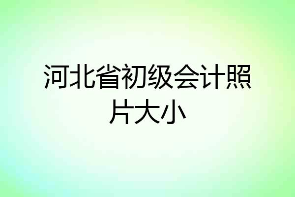河北省初级会计照片大小