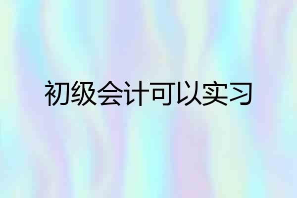 初级会计可以实习