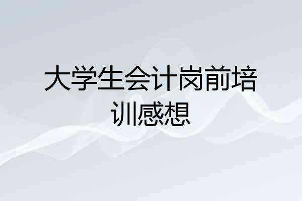 大学生会计岗前培训感想
