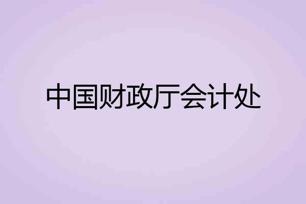 中国财政厅会计处