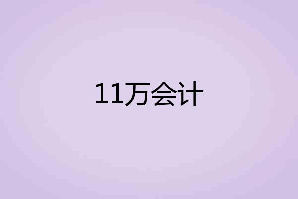 11万会计