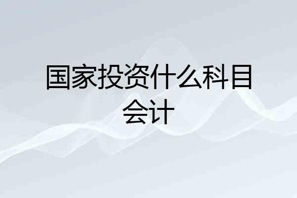 国家投资什么科目会计