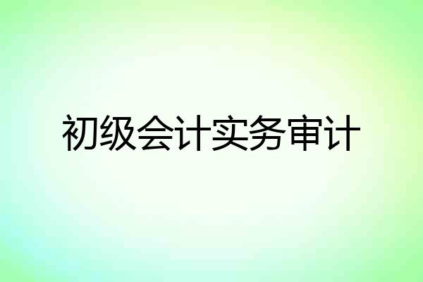 初级会计实务审计