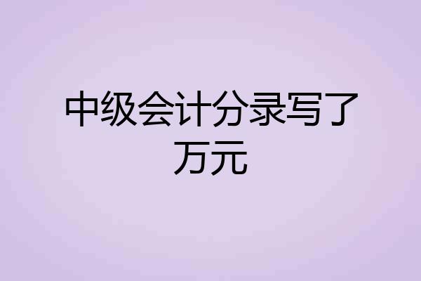 中级会计分录写了万元