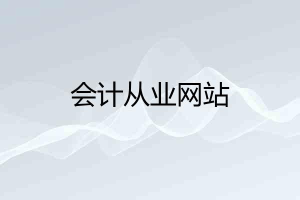 会计从业网站