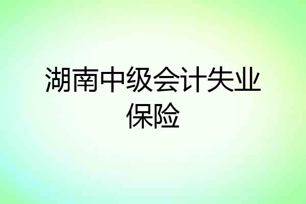 湖南中级会计失业保险
