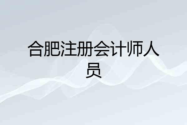 合肥注册会计师人员