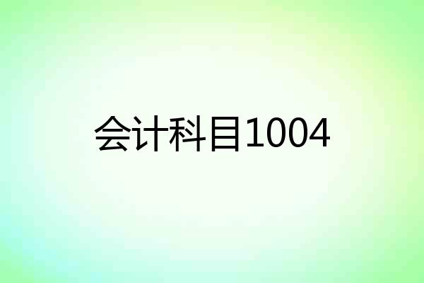 会计科目1004