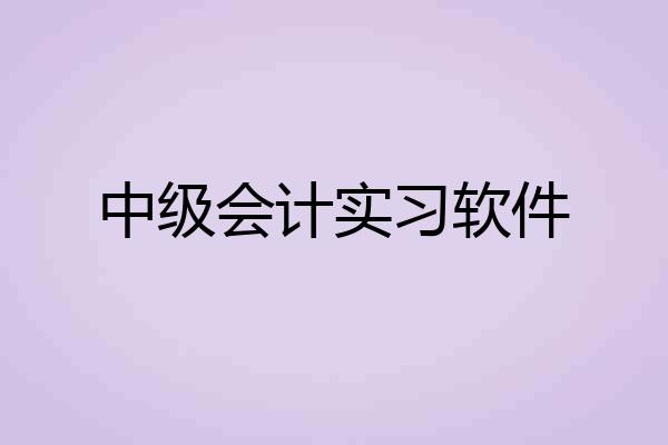 中级会计实习软件
