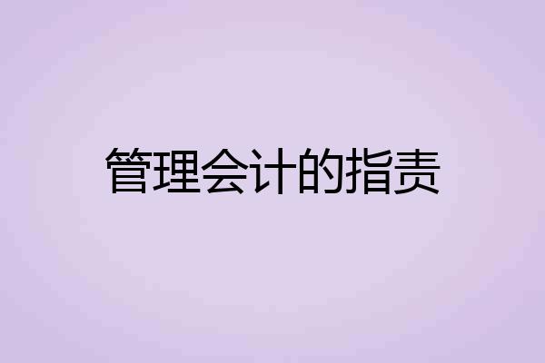 管理会计的指责