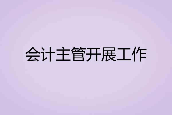会计主管开展工作